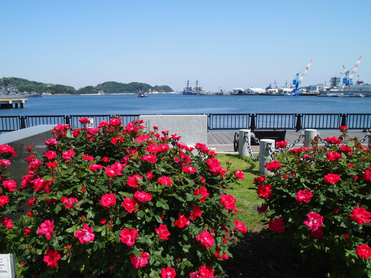 18 Gwぶらりグルメ散歩 １ 横須賀 薔薇と軍港 横須賀 神奈川県 の旅行記 ブログ By Tabitabiさん フォートラベル