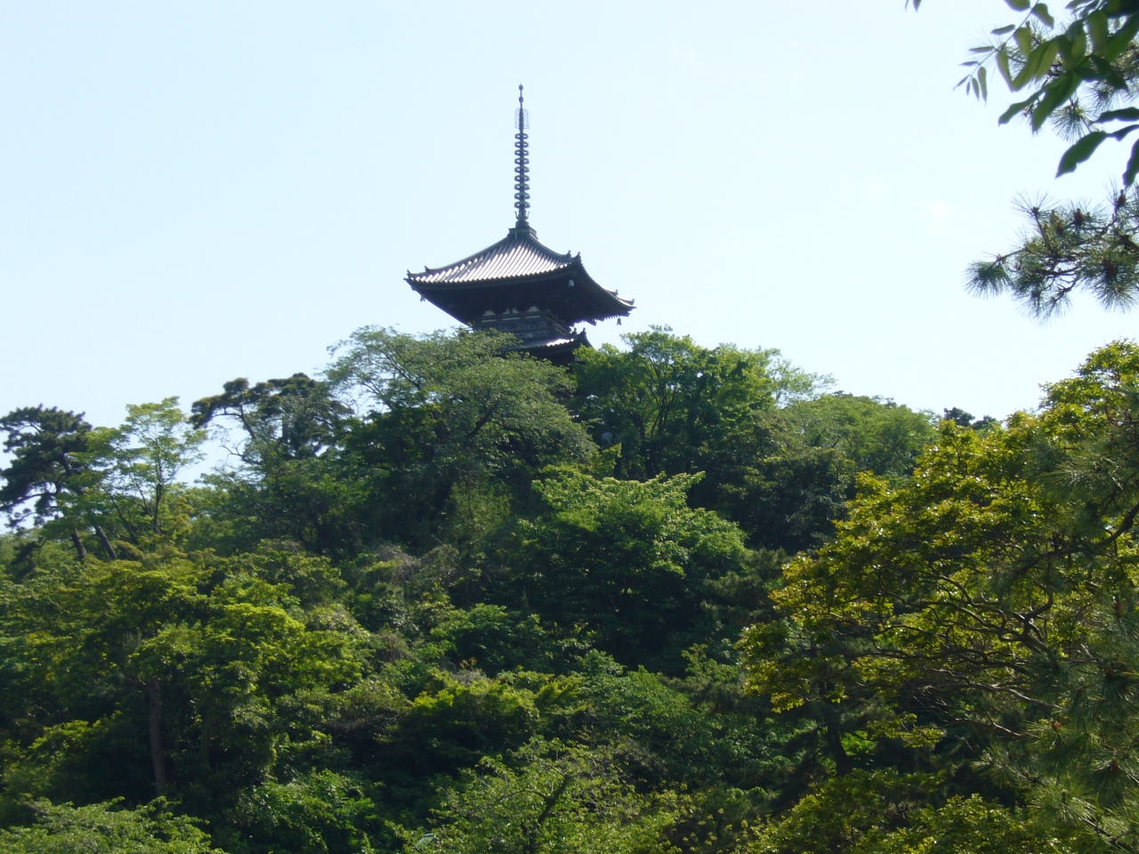 文化財の宝庫 横浜三渓園に行きました 本牧 根岸 磯子 神奈川県 の旅行記 ブログ By Lagunaさん フォートラベル