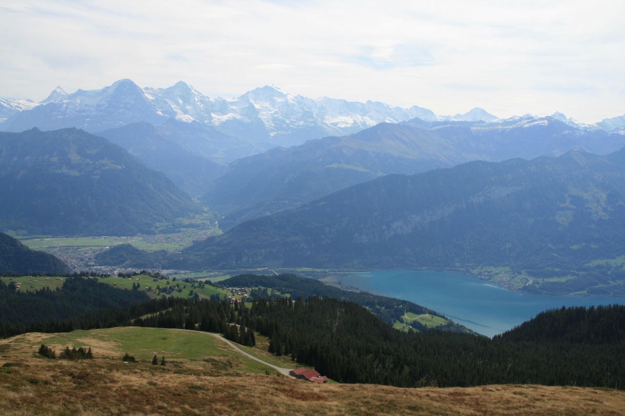 『ニーダーホルンからゲンメンアルプホルン、さらにヴァルトエッグまでのハイキング』インターラーケン(スイス)の旅行記・ブログ by