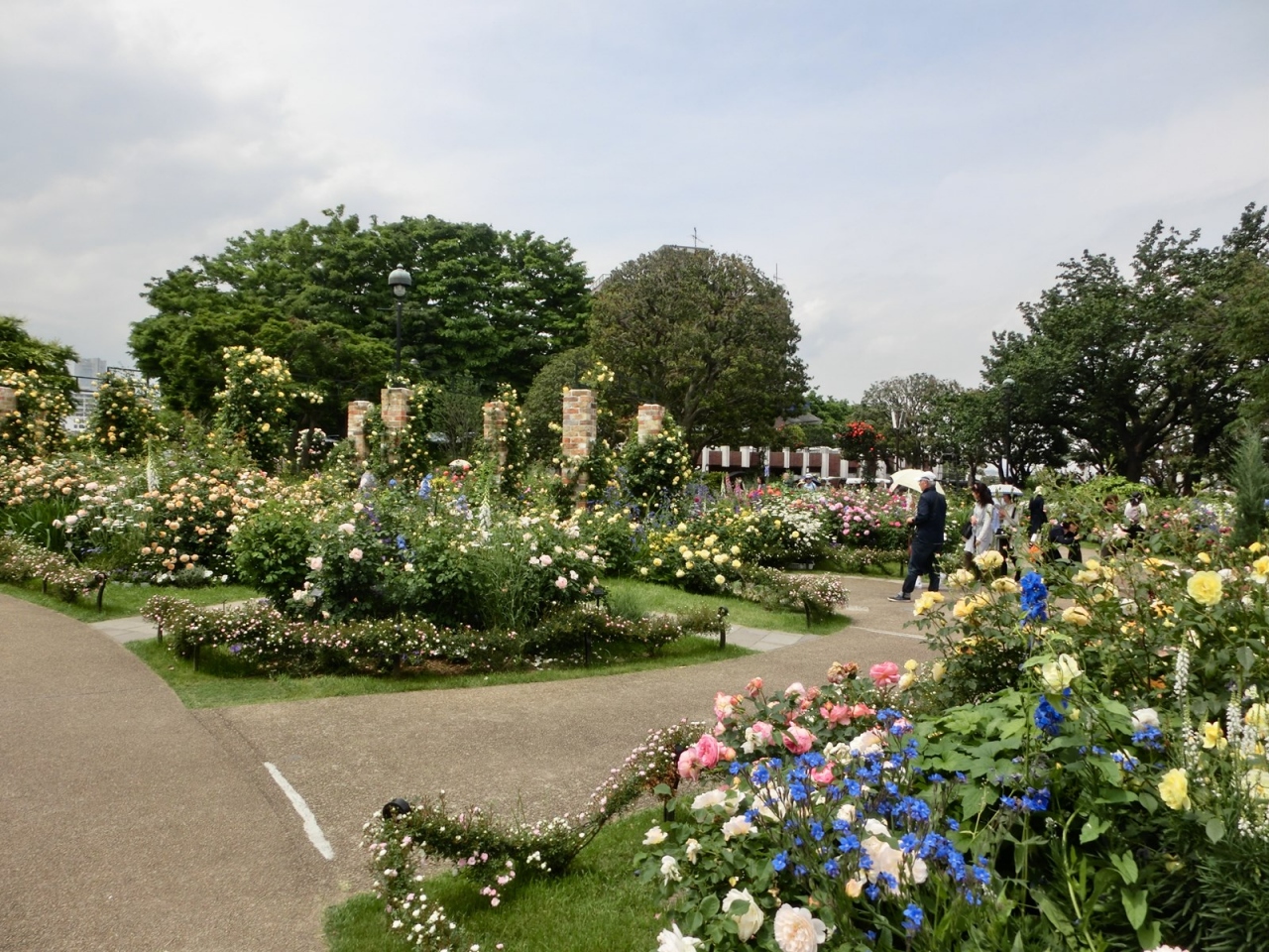 横浜 港の見える丘公園のバラ 17年 その2 横浜 神奈川県 の旅行記 ブログ By あんみつ姫さん フォートラベル 横浜 港の見える丘公園のバラ 17年 その2 横浜 神奈川県 の旅行記 ブログ By あんみつ姫さん フォートラベル