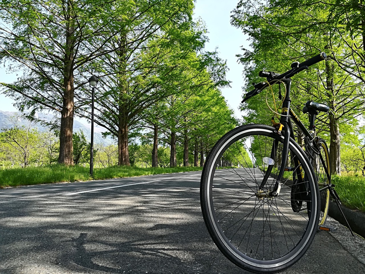 18 クロスバイク利用 初ビワイチしてきた 自転車 1 2 滋賀県の旅行記 ブログ By さおりんさん フォートラベル