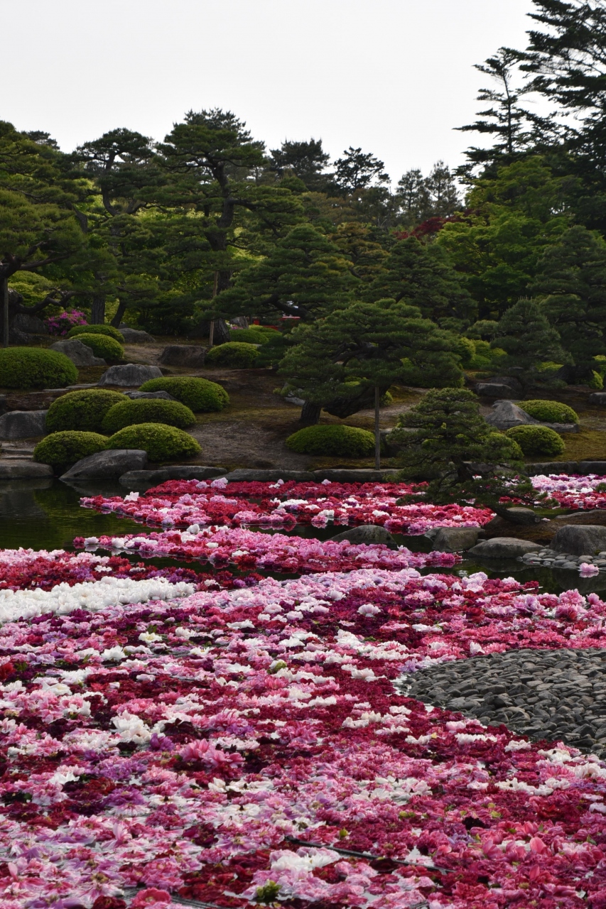 春の山陰旅は花と名園巡り 1日目 出雲市 島根県 の旅行記 ブログ By Snow Whiteさん フォートラベル 春の山陰旅は花と名園巡り 1日目 出雲市 島根県 の旅行記 ブログ By Snow Whiteさん フォートラベル