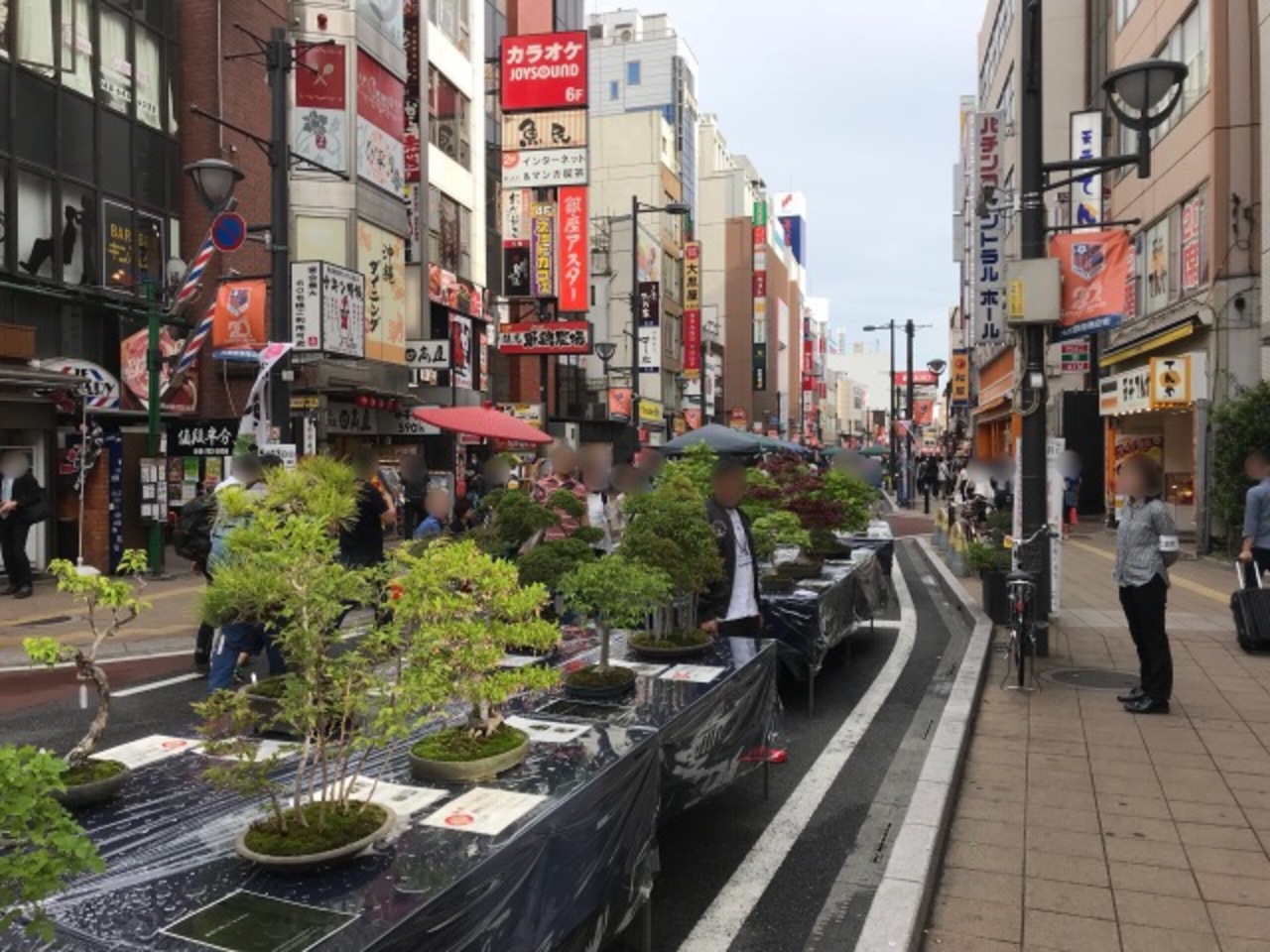 おおみや盆栽春まつり18 大宮駅東口で行われたイベント 5 3編 大宮 埼玉県 の旅行記 ブログ By としさん フォートラベル