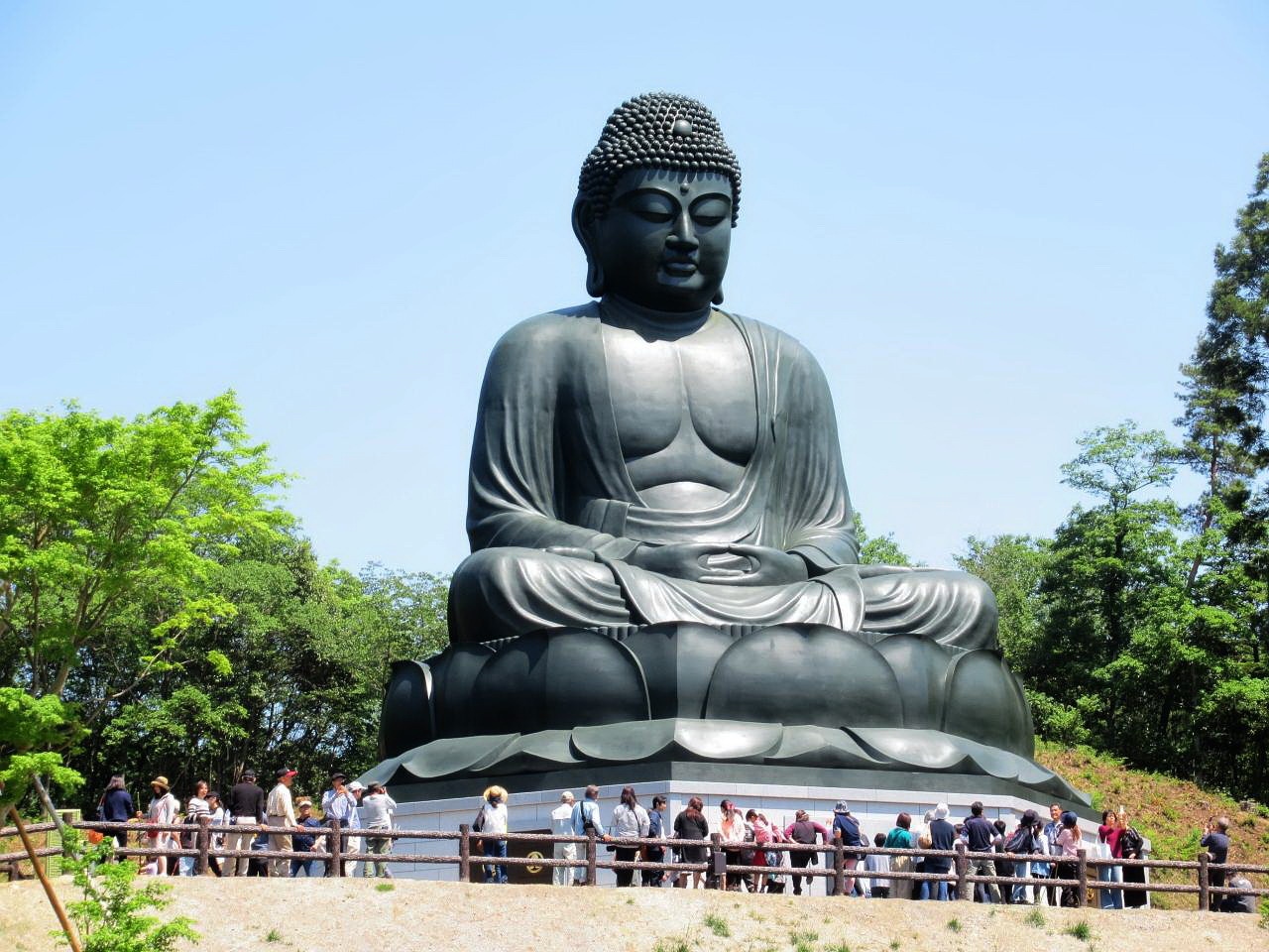 大仏 鹿野