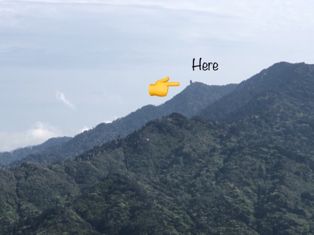 屋久島で癒されましょう 企業戦士の皆さま 屋久島 鹿児島県 の旅行記 ブログ By Leashoobeさん フォートラベル