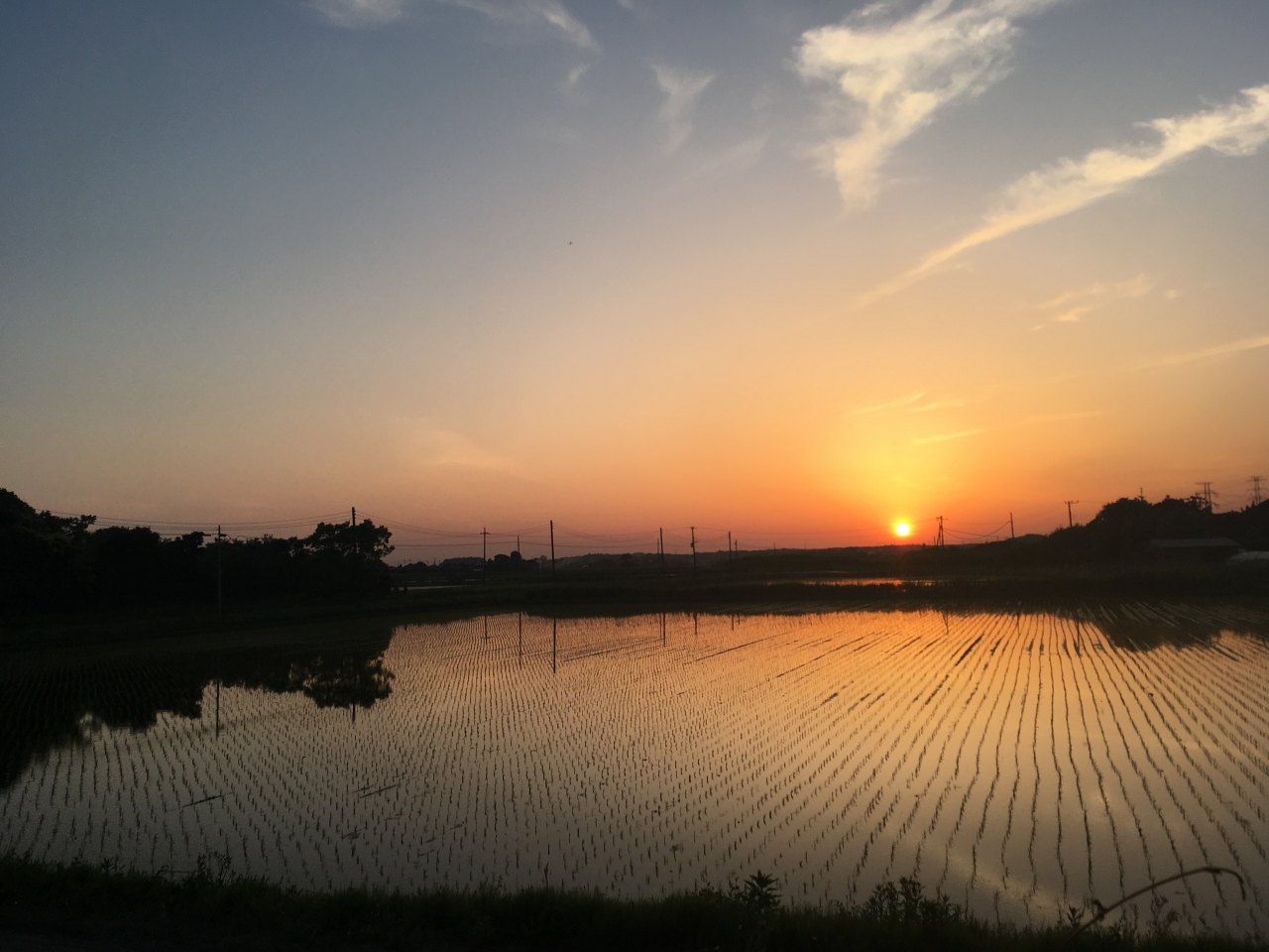 鹿島神宮と潮来 鹿島 茨城県 の旅行記 ブログ By Naoさん フォートラベル 鹿島神宮と潮来 鹿島 茨城県 の旅行記 ブログ By Naoさん フォートラベル
