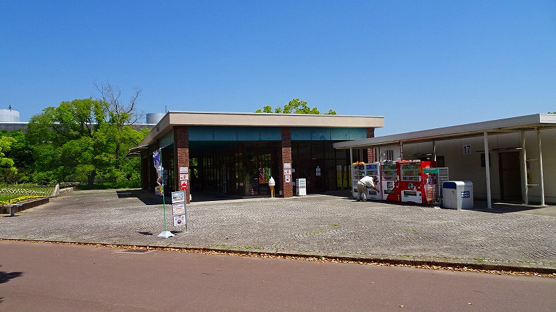 万博公園へポピーを見に行く ６ 完 終わりのチューリップを見てからレストランpark Cafeで昼食後退園 吹田 万博公園 大阪 の旅行記 ブログ By Hn11さん フォートラベル
