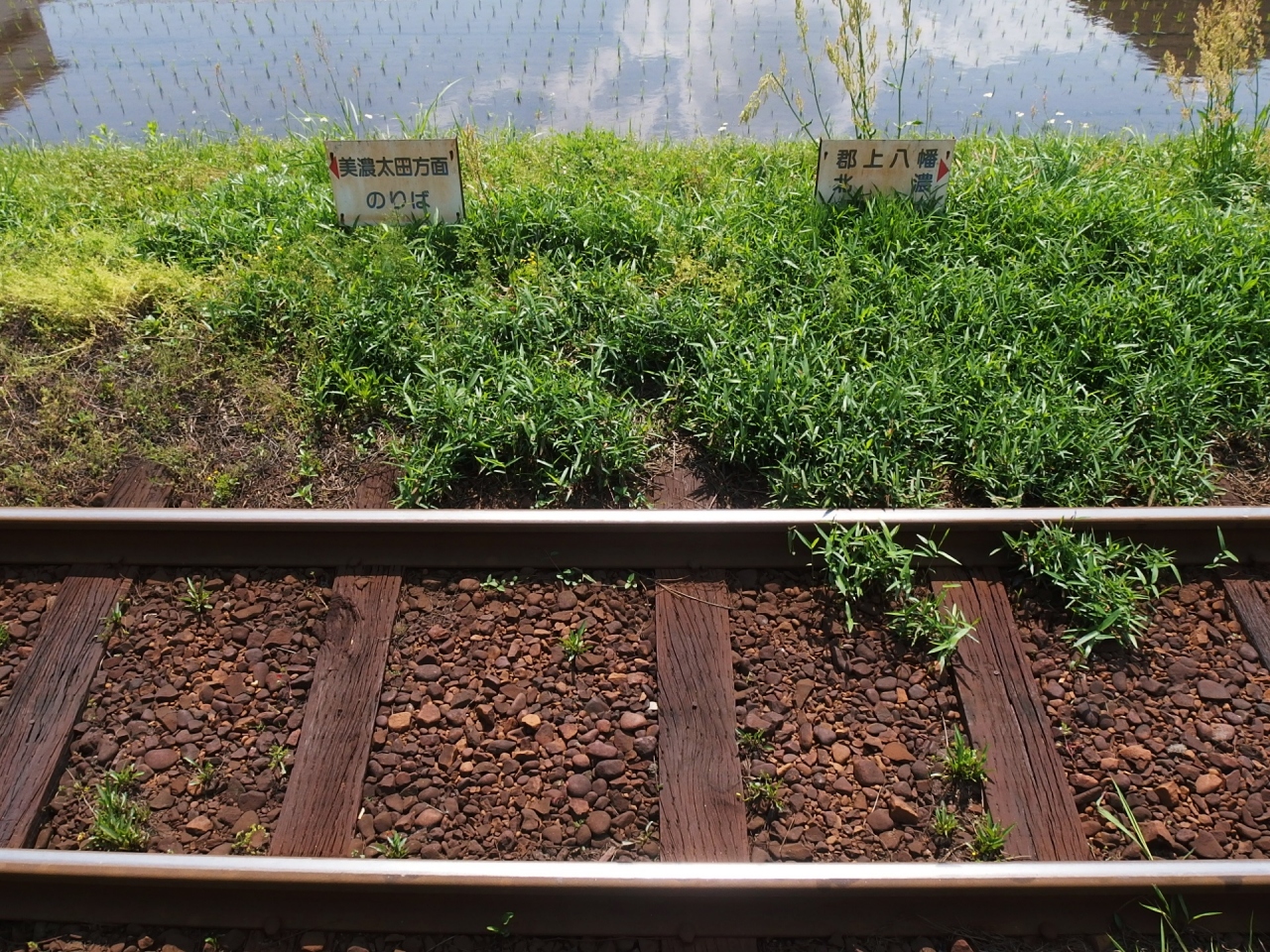 松本 飛騨高山 せせらぎ街道 郡上八幡 松本 長野県 の旅行記 ブログ By Crambon1948さん フォートラベル