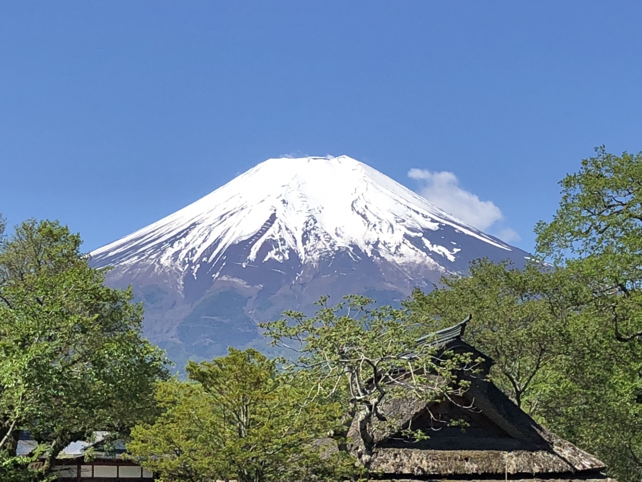 富士山を見たい 京都からドライブ旅行 忍野 山梨県 の旅行記 ブログ By たいやき一家さん フォートラベル