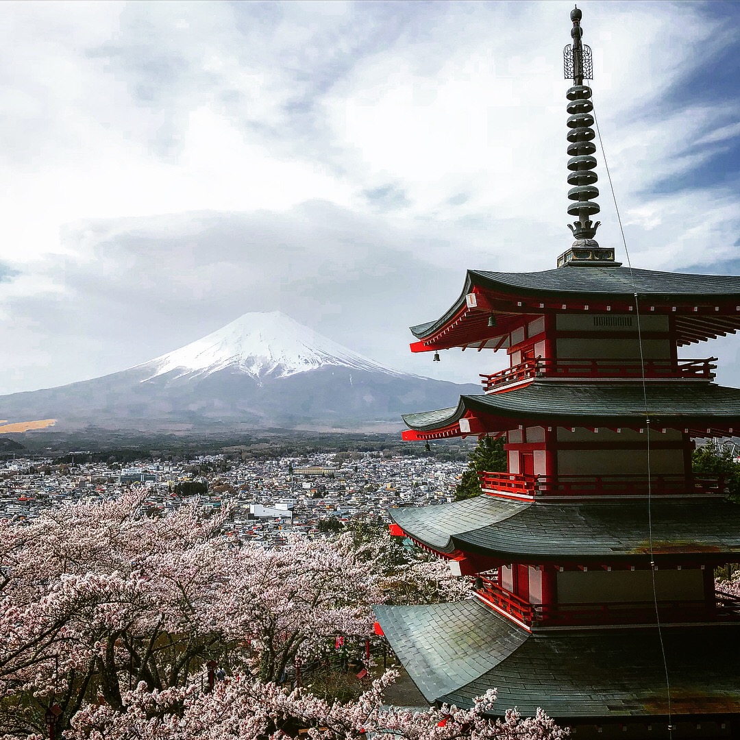 長野 山梨 神奈川 日本百名城とお花見の旅 ２日目 小田原 神奈川県 の旅行記 ブログ By Hikochanさん フォートラベル