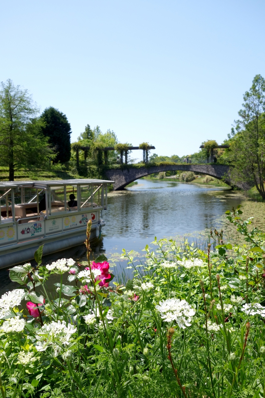 Gw 花ざかりの浜松へ どこへ行っても浜松は の巻 浜松 静岡県 の旅行記 ブログ By ハナコさん フォートラベル