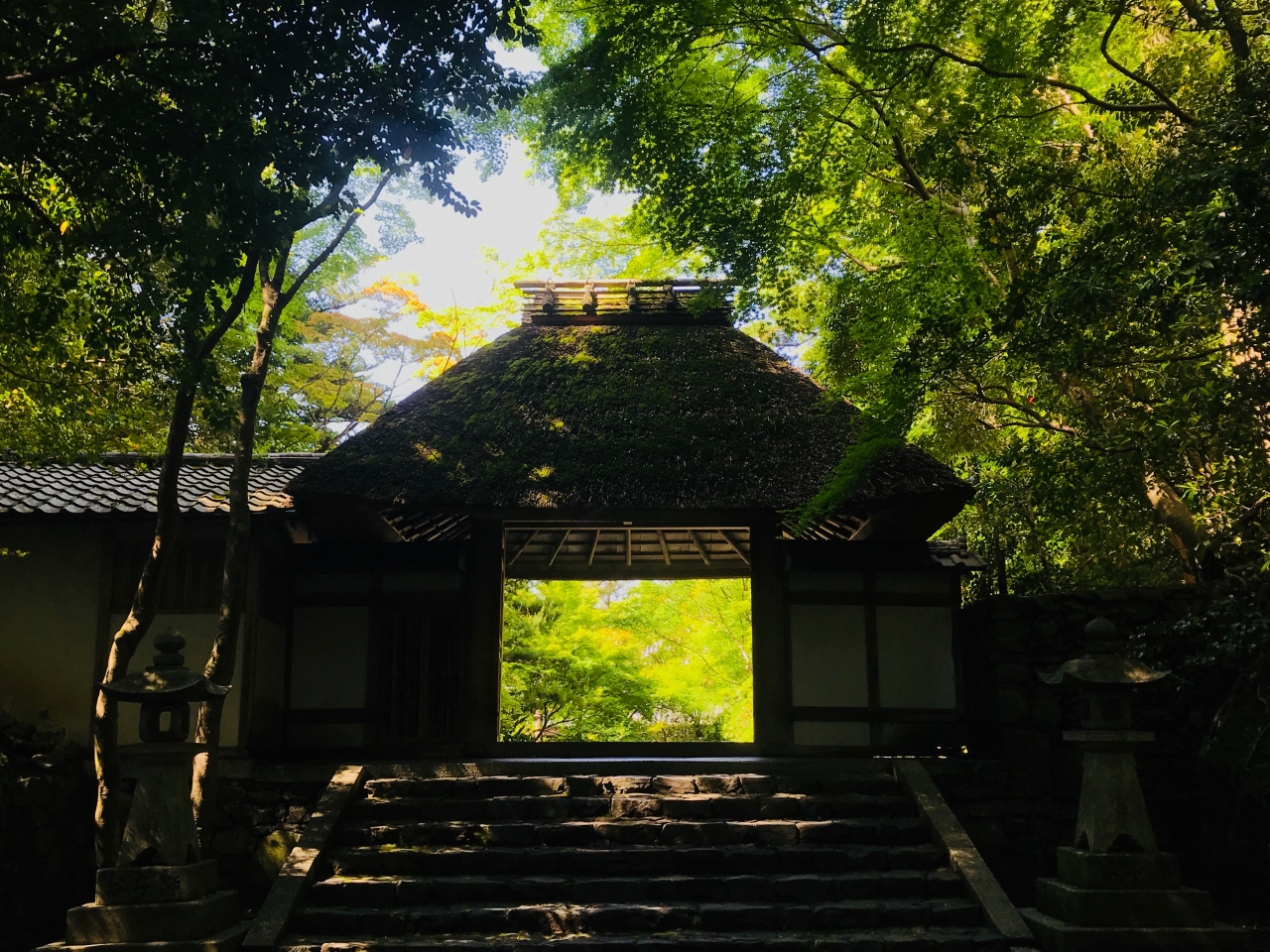 京都東山の穴場 法然院 から哲学の道 戸隠そばへ 東山 祇園 北白川 京都 の旅行記 ブログ By Toroppeさん フォートラベル