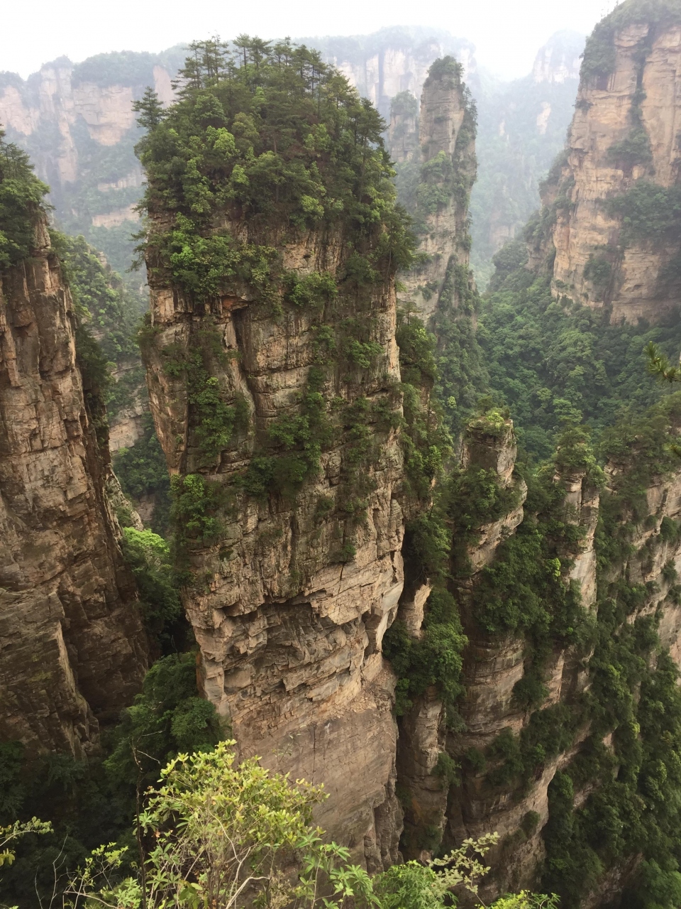 中国 湖南省を巡る旅 ツアーのハイライト 武陵源観光 湖南省 中国 の旅行記 ブログ By しょうさん フォートラベル