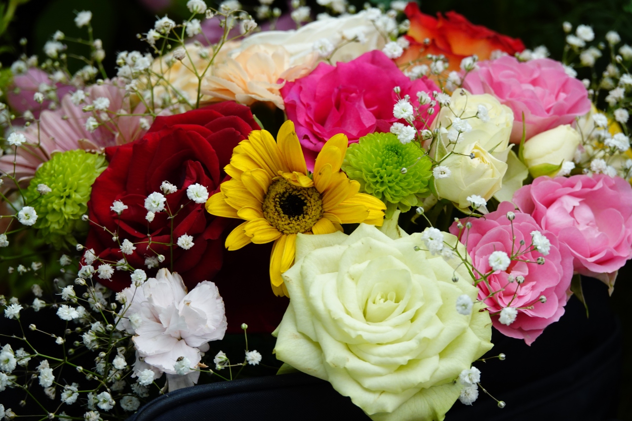 薔薇の祭典 国際バラとガーデニングショウ18 立川 東京 の旅行記 ブログ By Yasuさん フォートラベル 薔薇の祭典 国際バラとガーデニングショウ18 立川 東京 の旅行記 ブログ By Yasuさん フォートラベル