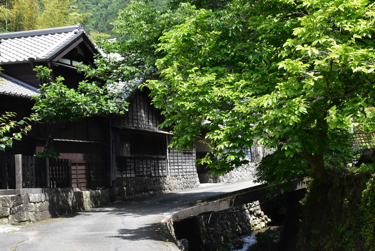 さかなの町焼津と花沢の里 駿河湾海の幸と旧街道沿いに残る歴史的景観 静岡 焼津 静岡県 の旅行記 ブログ By かっちんさん フォートラベル