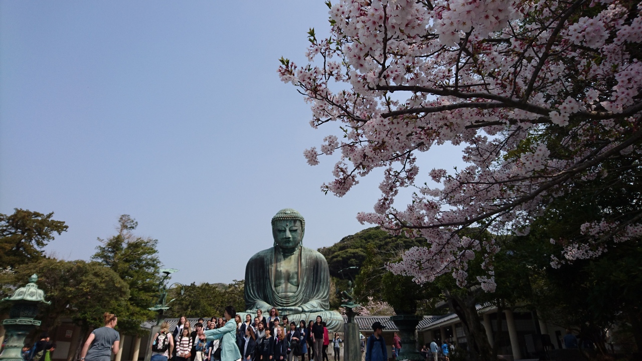 息子と日本旅行 江の島 鎌倉編 茅ヶ崎 神奈川県 の旅行記 ブログ By Tabineko28さん フォートラベル