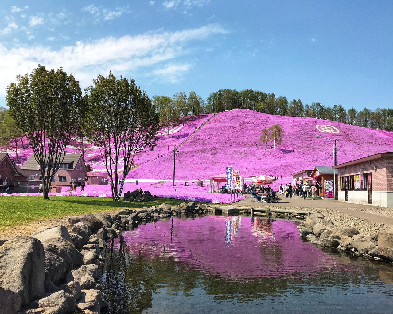 東藻琴芝桜公園に芝桜を見に行きました 網走 北海道 の旅行記 ブログ By Kumaさん フォートラベル 東藻琴芝桜公園に芝桜を見に行きました 網走 北海道 の旅行記 ブログ By Kumaさん フォートラベル