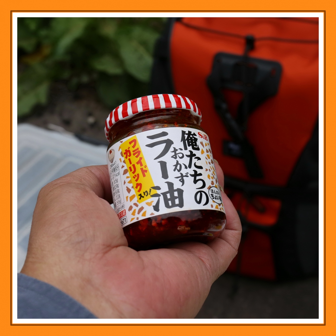 Solitary Journey 1950 カキツバタの花が咲く八幡湿原でリフレッシュ 青空の下で餃子を焼いて食べました 八幡高原 広島県北広島町 三段峡 安芸太田 北広島 広島県 の旅行記 ブログ By Mechagodzilla 703さん フォートラベル Solitary Journey 1950 カキツバタの花が咲く八幡湿原でリフレッシュ 青空の下で餃子を焼いて食べました 八幡高原 広島県北広島町 三段峡 安芸太田 北広島 広島県 の旅行記 ブログ By Mechagodzilla 703さん フォートラベル