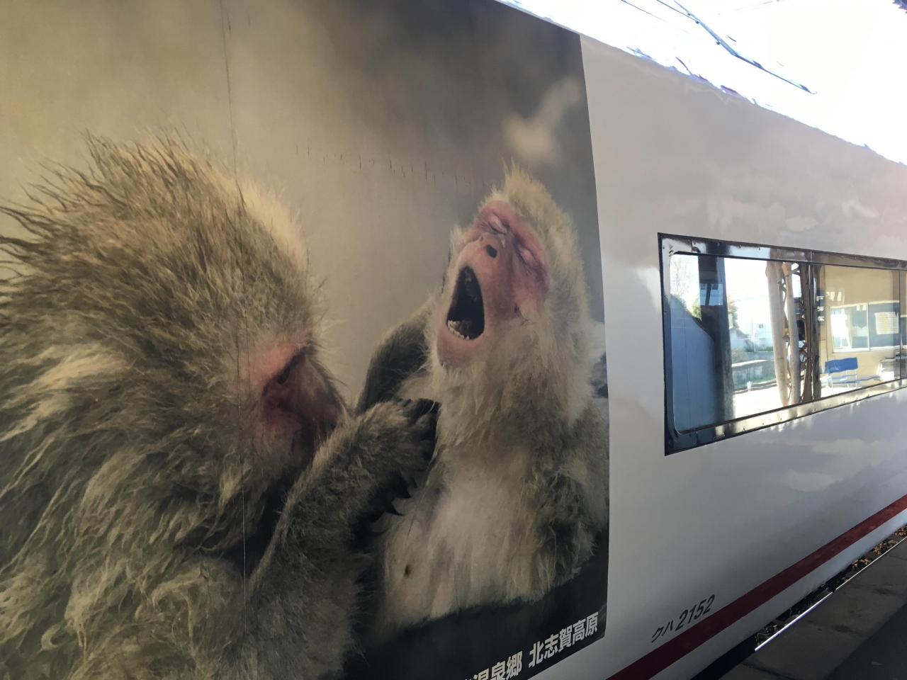 信州 長野一人旅 6 プチ鉄子目線で 道中の電車の話 長野市 長野県 の旅行記 ブログ By ぱやこさん フォートラベル