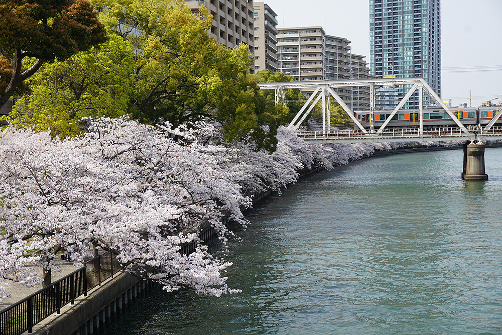 関西散歩記 18 大阪 大阪市都島区編 大阪城 京橋 大阪 の旅行記 ブログ By ろくおさん フォートラベル