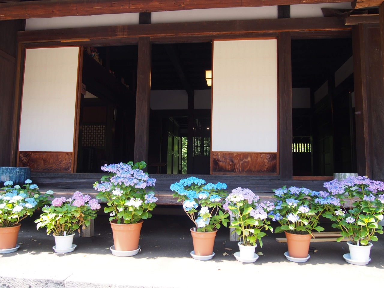 公共の交通機関で行く天狗が棲むという神奈川のパワースポット大雄山最乗寺 道了尊 と開成町のあじさいまつり2018 秦野 松田 足柄 神奈川県 の旅行記 ブログ By Y 0236さん フォートラベル