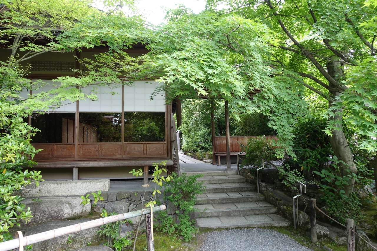 京都 大阪 奈良 2泊3日 3都市を周遊 京都の旅行記 ブログ By Caracalさん フォートラベル