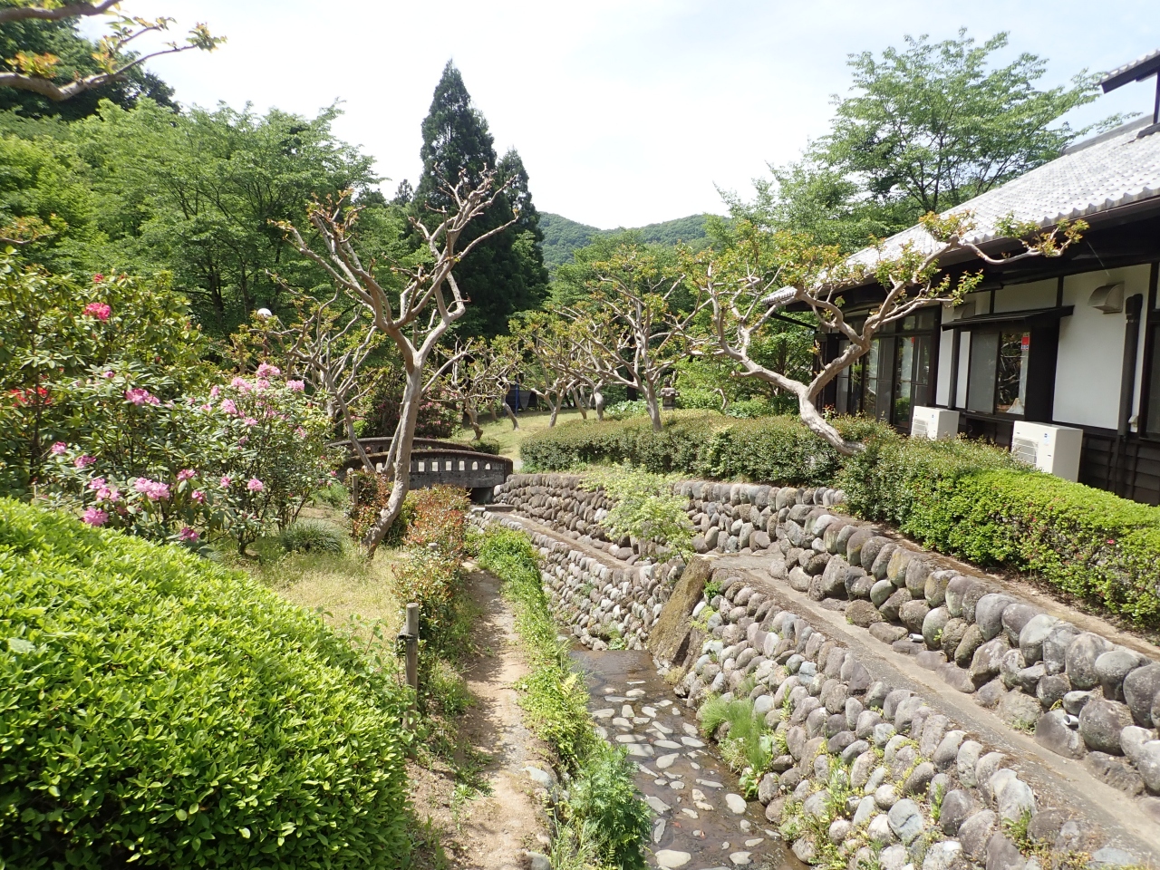 群馬 小平の里1805春 鍾乳洞と湿生植物園 桐生 群馬県 の旅行記 ブログ By Last Snow Leopardさん フォートラベル