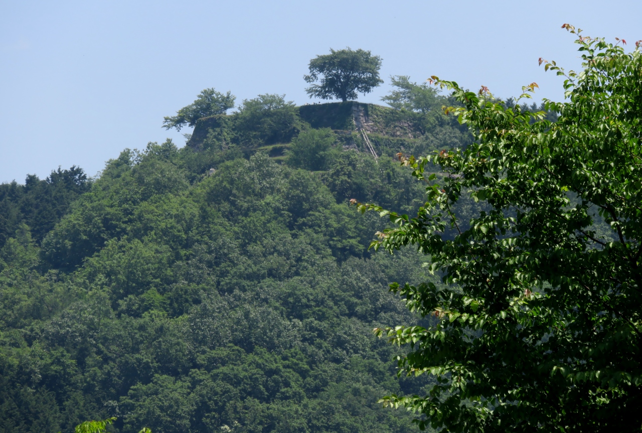 18初夏 総石垣の山城 竹田城 1 5 6月2日 1 名古屋からバスで兵庫へ 山城の郷 史蹟 竹田城跡碑 朝来 生野 兵庫県 の旅行記 ブログ By 旅人のくまさんさん フォートラベル