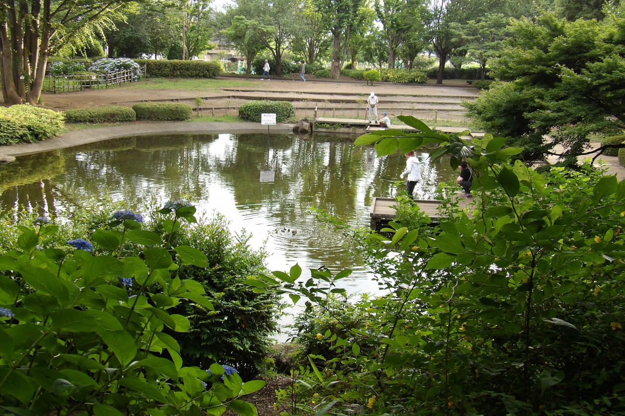 相模原北公園 相模原市緑区下九沢 相模原 神奈川県 の旅行記 ブログ By ドクターキムルさん フォートラベル