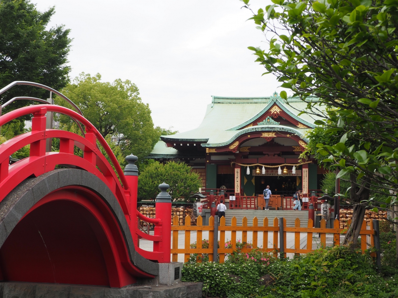 亀戸天神社 東京十社めぐり 花の天神さまと言われる道真公の社 残念ながら藤棚は青々と 亀戸 東京 の旅行記 ブログ By Ken Yoshimuneさん フォートラベル