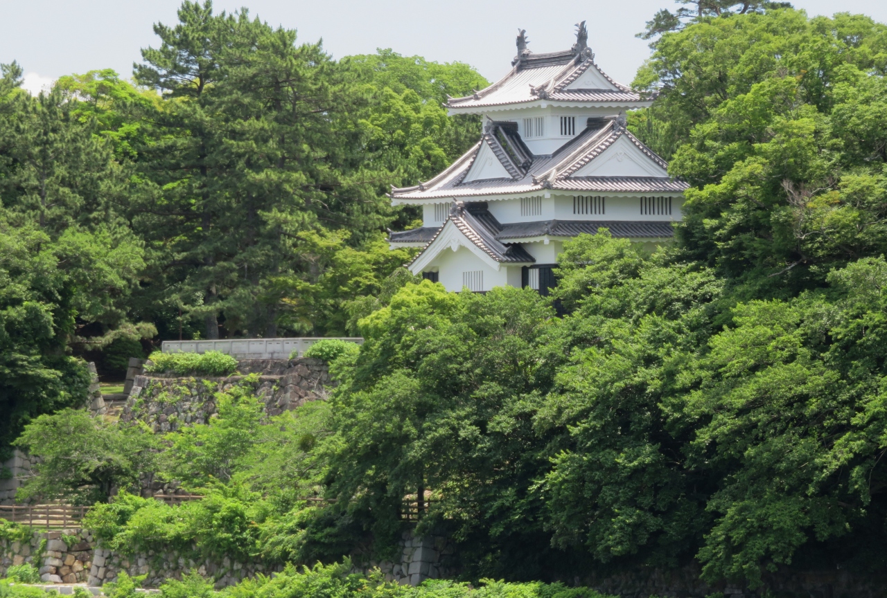 18梅雨 三河の名城巡り 1 8 6月12日 1 吉田城 1 豊川に架かる吉田大橋 橋から眺めた吉田城 豊橋 愛知県 の旅行記 ブログ By 旅人のくまさんさん フォートラベル