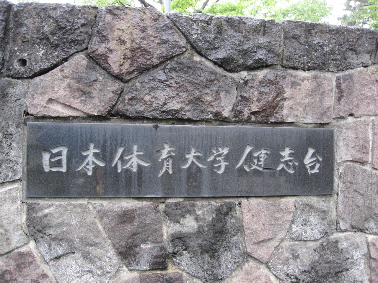 学食訪問ー８８ 日本体育大学 健志台キャンパス 港北 長津田 青葉 神奈川県 の旅行記 ブログ By まつかこさん フォートラベル