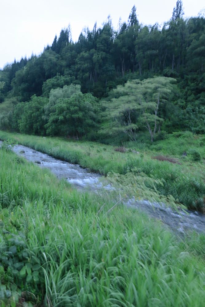 小野川温泉 米沢市 でホタル観賞 米沢 山形県 の旅行記 ブログ By むんさん フォートラベル