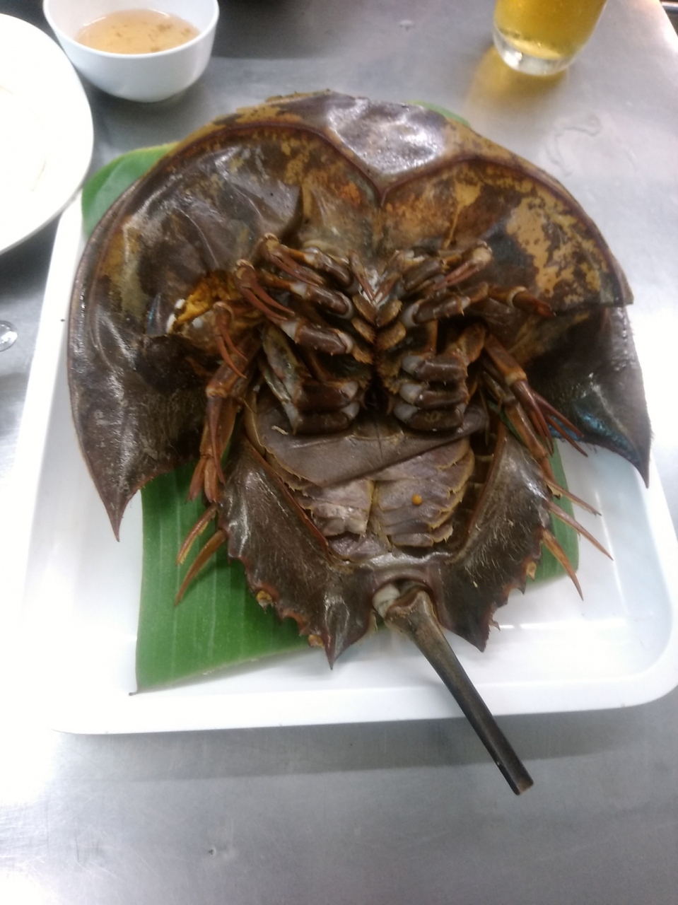 バンコクへカブトガニを食べに行く バンコク タイ の旅行記 ブログ By Piston39さん フォートラベル バンコクへカブトガニを食べに行く バンコク タイ の旅行記 ブログ By Piston39さん フォートラベル