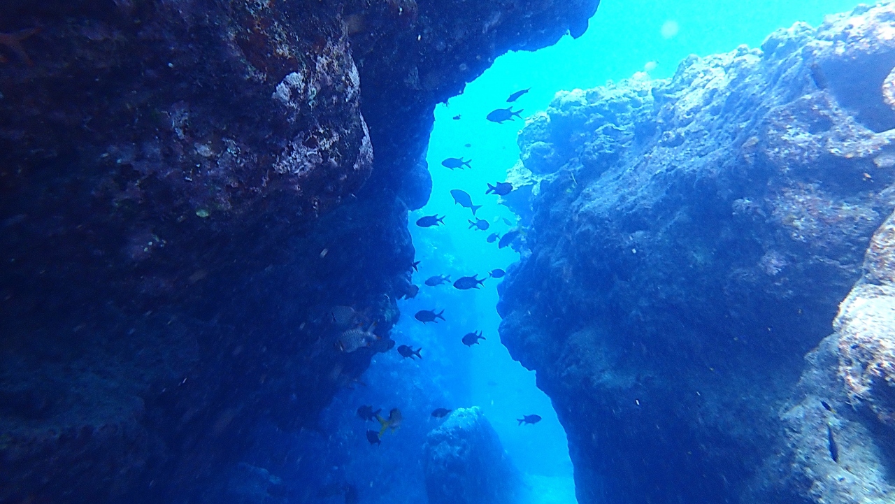 中の島ビーチのプチトンネル 下地島 伊良部島 宮古島 沖縄 ５回目の宮古島旅行 伊良部島 下地島 沖縄県 の旅行記 ブログ By Masaさん フォートラベル