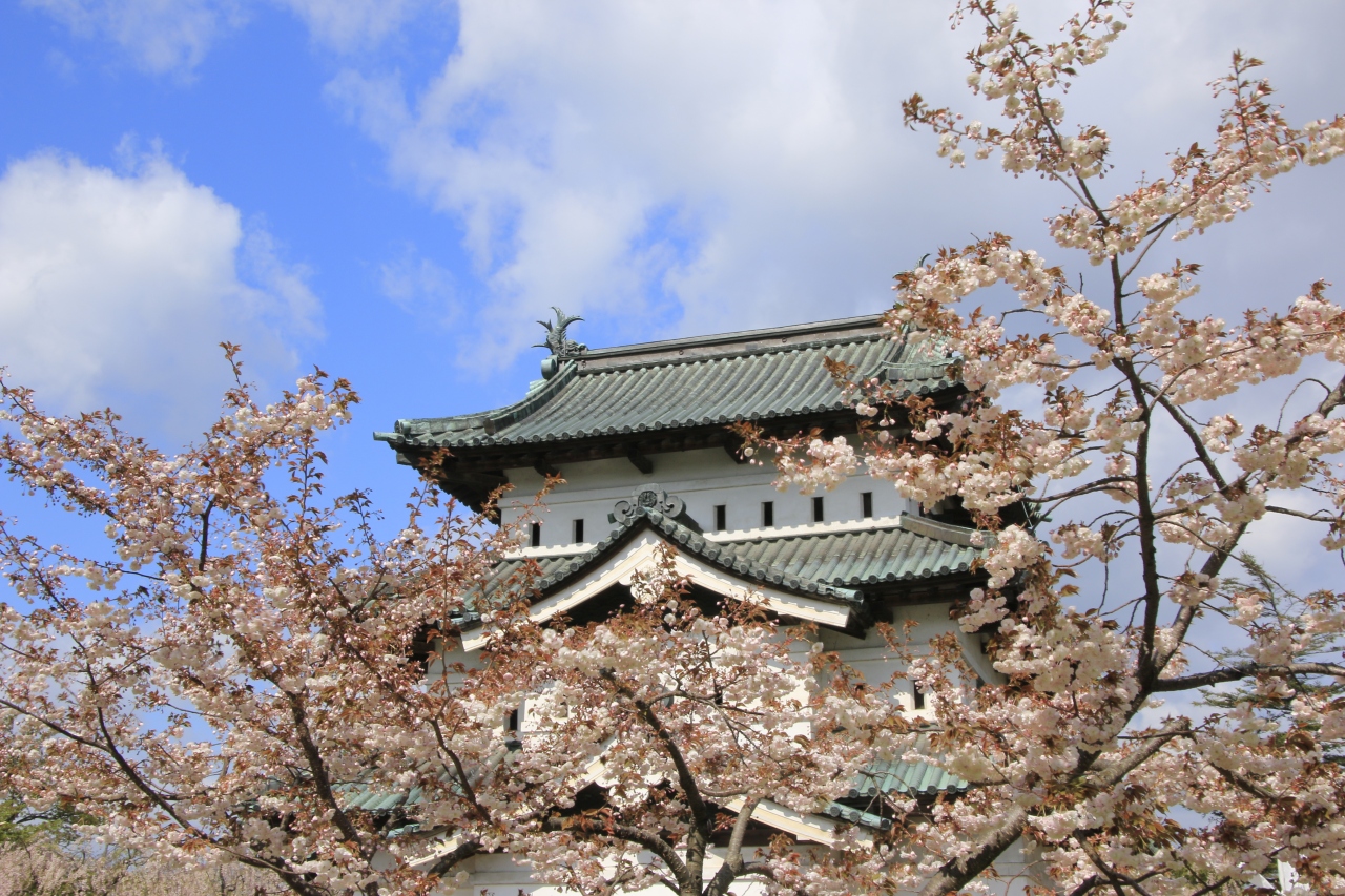 もう一度 弘前の桜が見たい 弘前福音キリスト教会通信