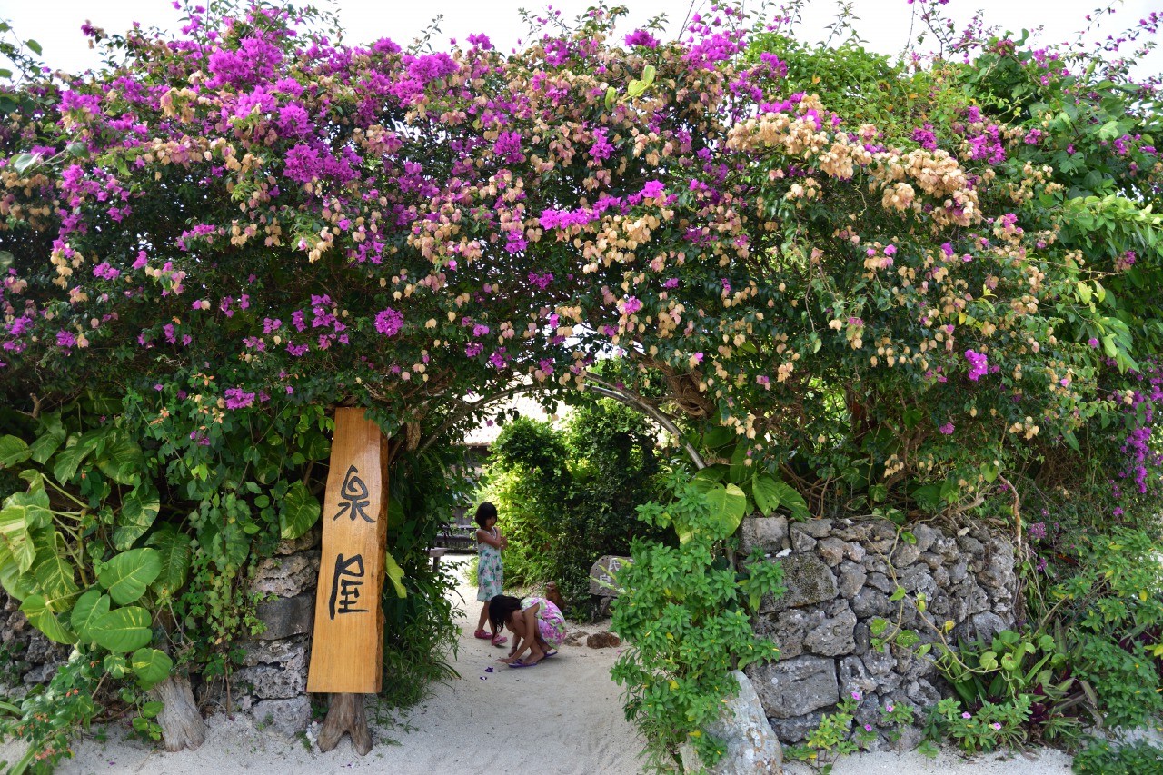 18家族旅 Gw竹富島 1 石垣から竹富へ 竹富島 沖縄県 の旅行記 ブログ By Yukoさん フォートラベル 18家族旅 Gw竹富島 1 石垣から竹富へ 竹富島 沖縄県 の旅行記 ブログ By Yukoさん フォートラベル