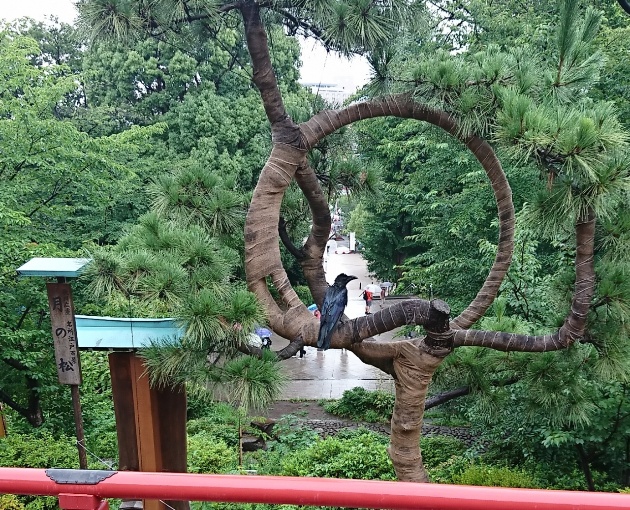 上野恩賜公園 歴史散歩 上野 御徒町 東京 の旅行記 ブログ By Wind99さん フォートラベル 上野恩賜公園 歴史散歩 上野 御徒町 東京 の旅行記 ブログ By Wind99さん フォートラベル