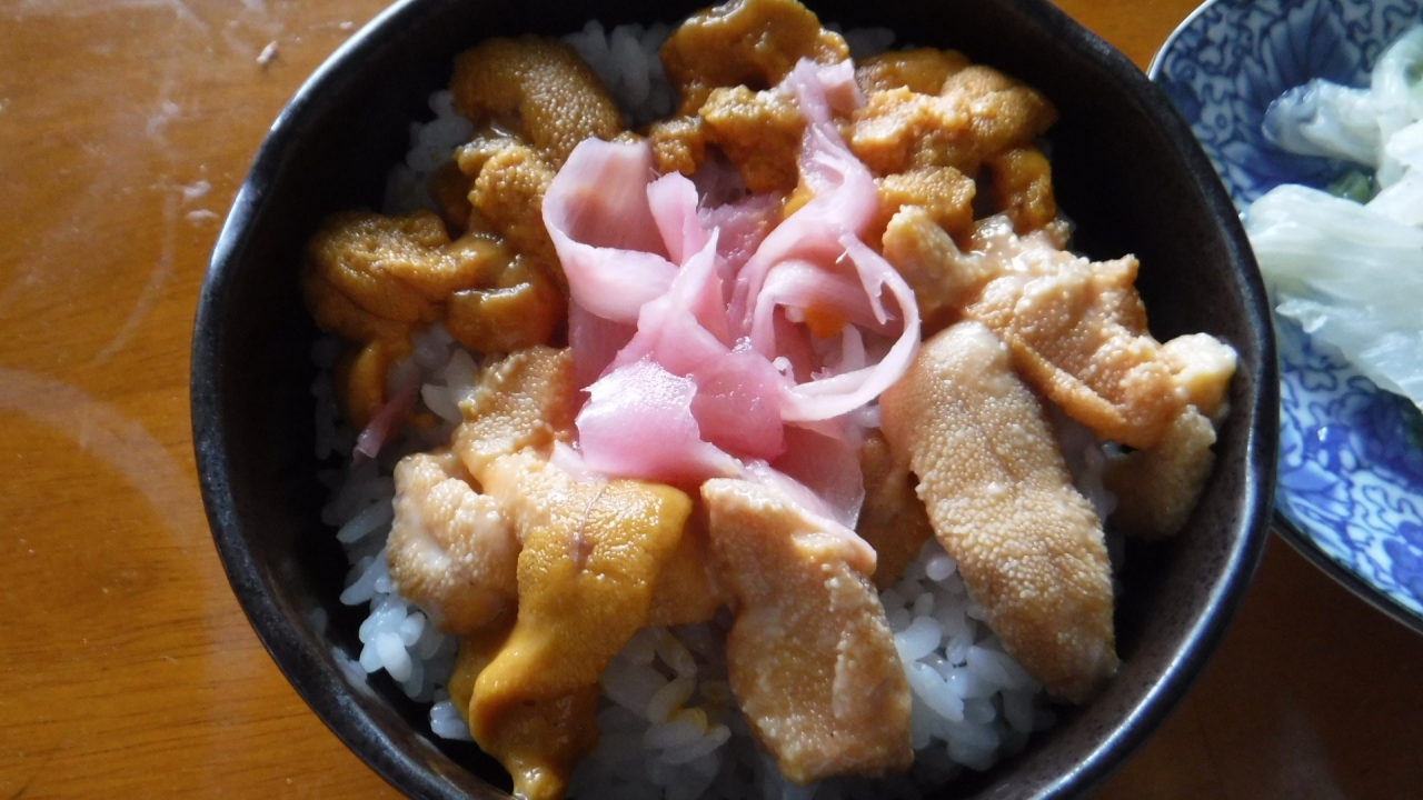 塩水馬糞雲丹ゲット 出来た結論から 札幌 北海道 の旅行記 ブログ By 夏子の探検さん フォートラベル