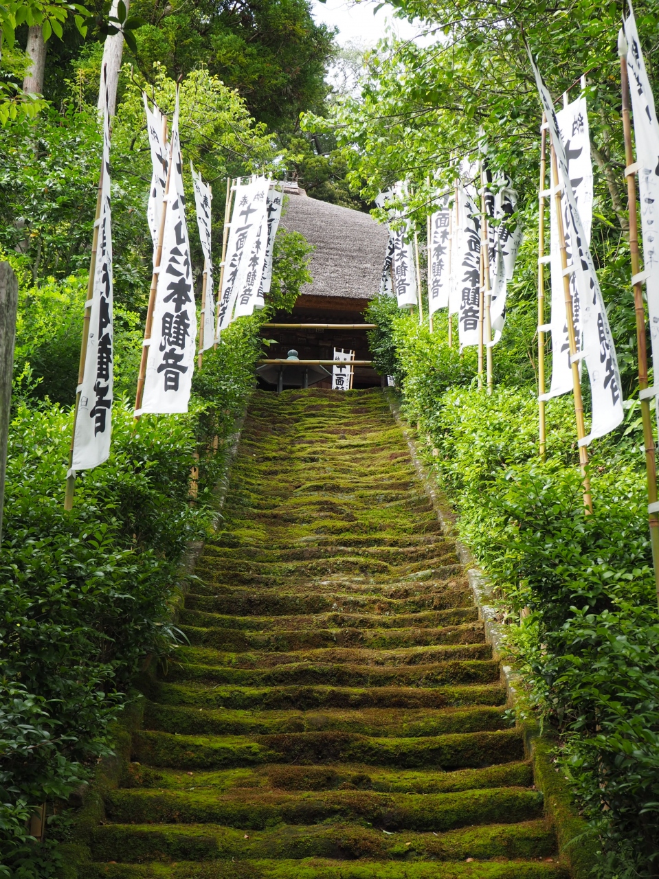 杉本寺 苔の階段が余にも美しい 鎌倉随一の古寺 上がって仏像を拝見出来る観音堂 鎌倉 神奈川県 の旅行記 ブログ By Ken Yoshimuneさん フォートラベル
