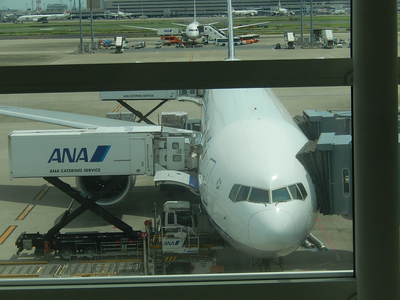 東京羽田空港よりフランクフルト迄の弾丸旅行 羽田空港国際線ターミナルにて 羽田 東京 の旅行記 ブログ By Tsunetaさん フォートラベル