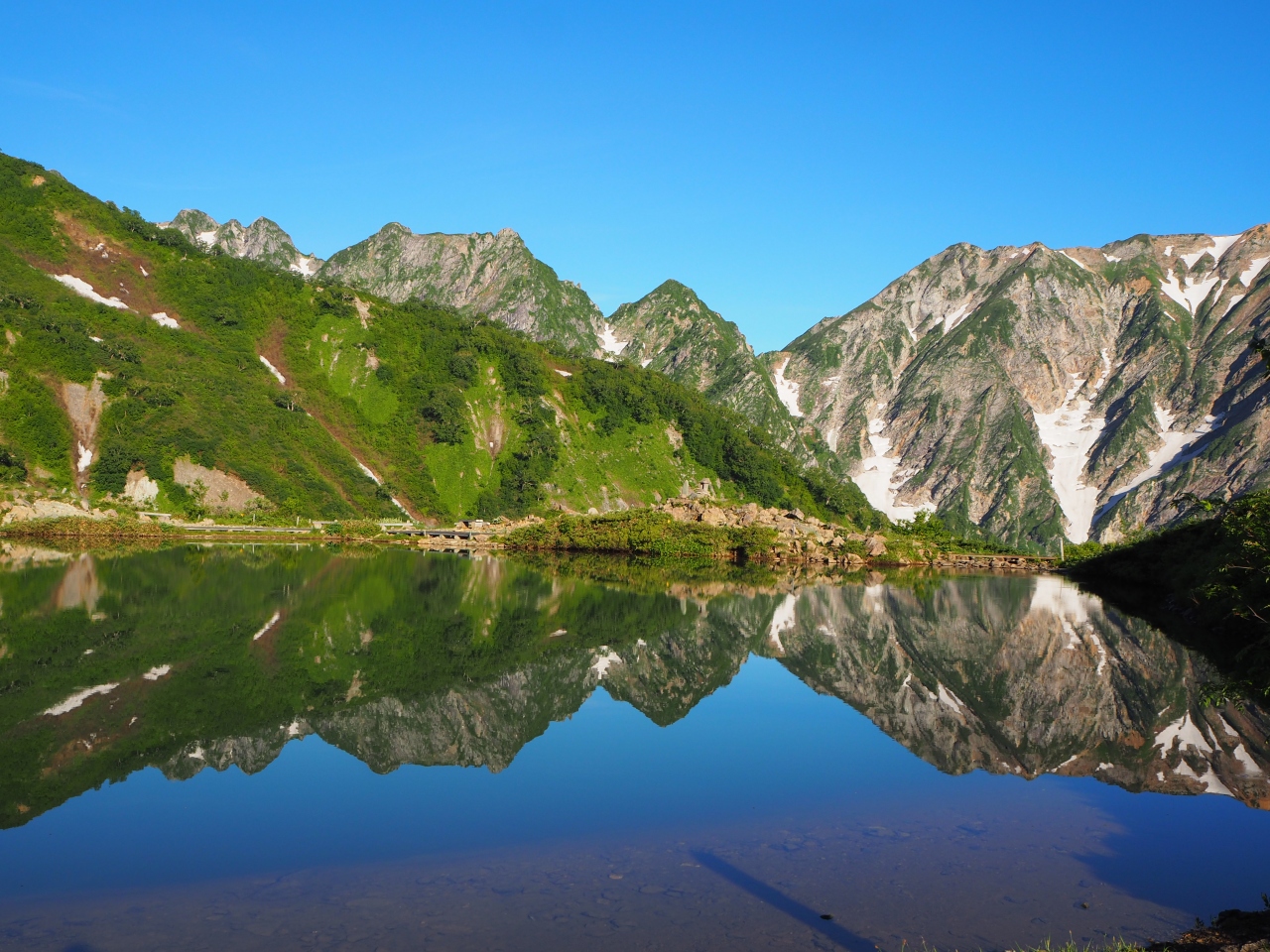 白馬八方尾根から唐松岳 八方池ブルーとお花がいっぱいの絶景ハイク 八方尾根 岩岳 長野県 の旅行記 ブログ By どりーまーさん フォートラベル