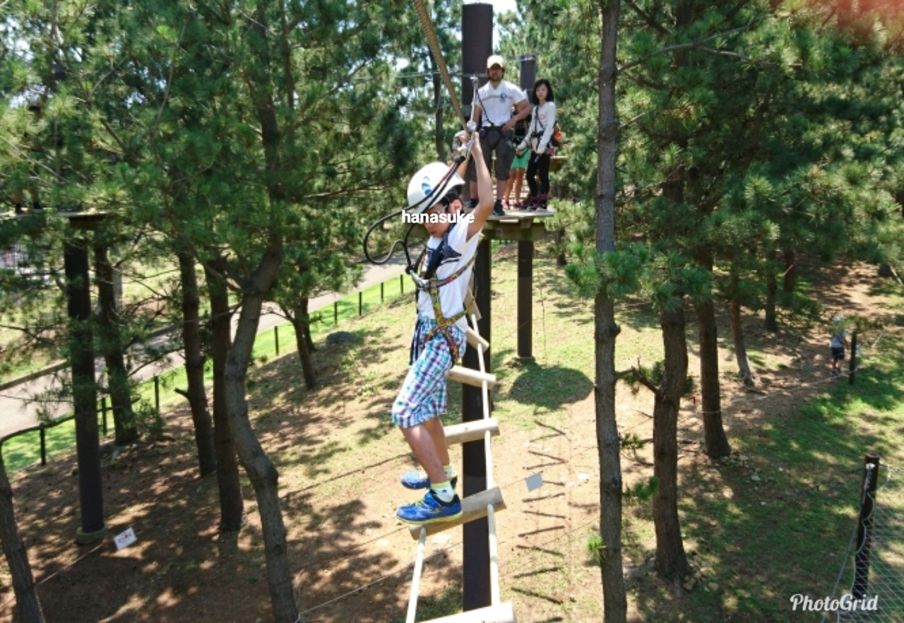 夏の3連休は初 初島 2日目前半 Sarutobi挑戦 熱海 静岡県 の旅行記 ブログ By Hanasukeさん フォートラベル