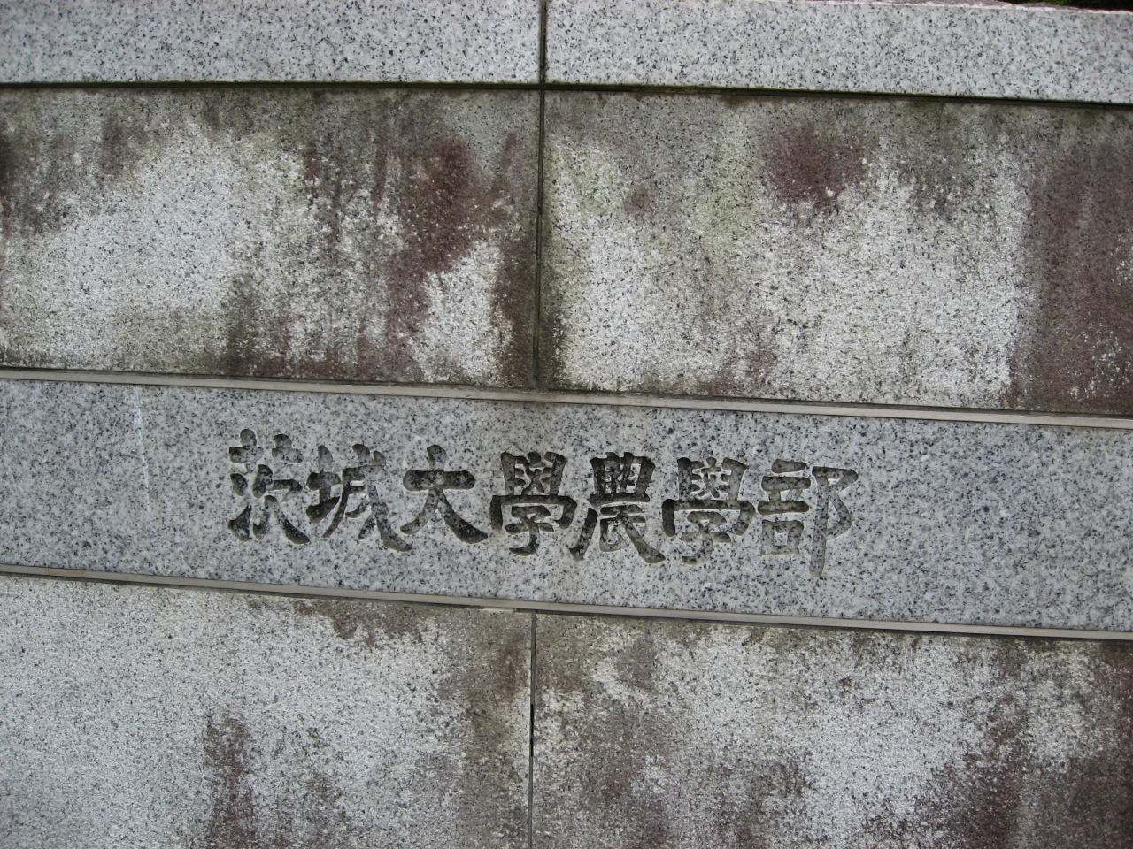 学食訪問ー１１４ 茨城大学 阿見キャンパス 土浦 茨城県 の旅行記 ブログ By まつかこさん フォートラベル