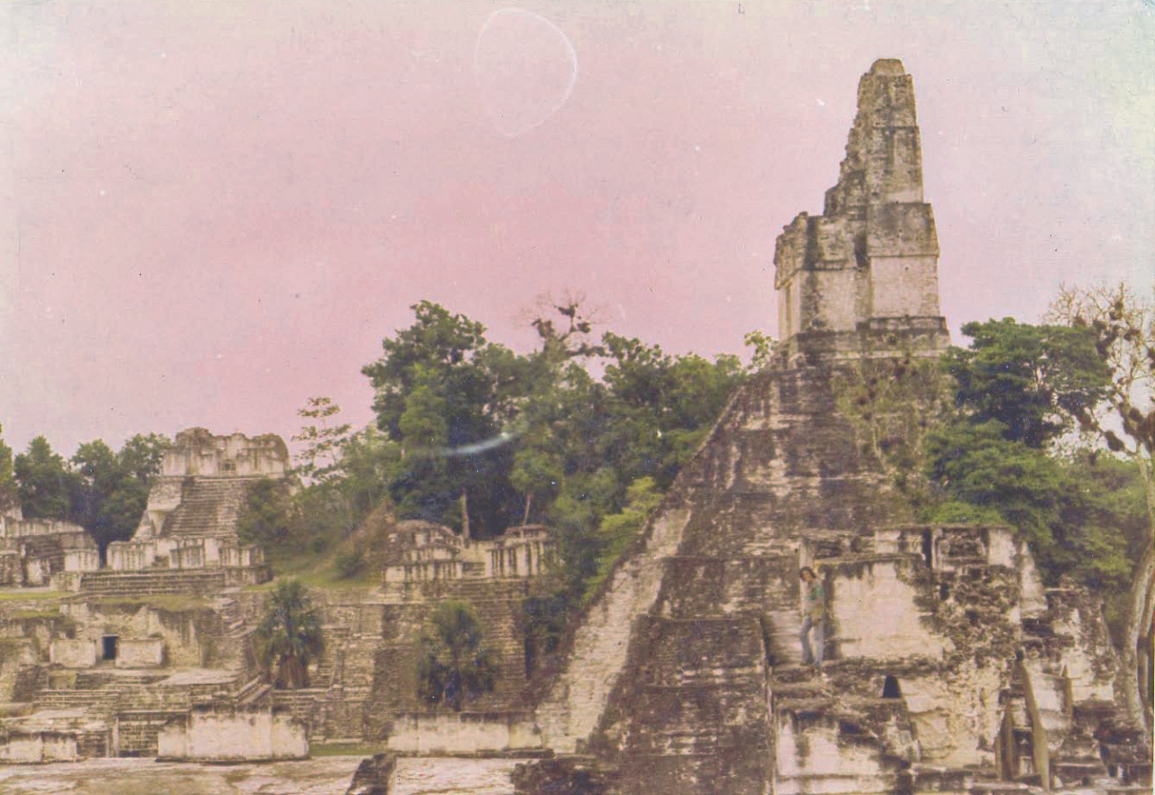 アステカ マヤ文明とピラミッド ティカル遺跡周辺 グアテマラ の旅行記 ブログ By Massyさん フォートラベル