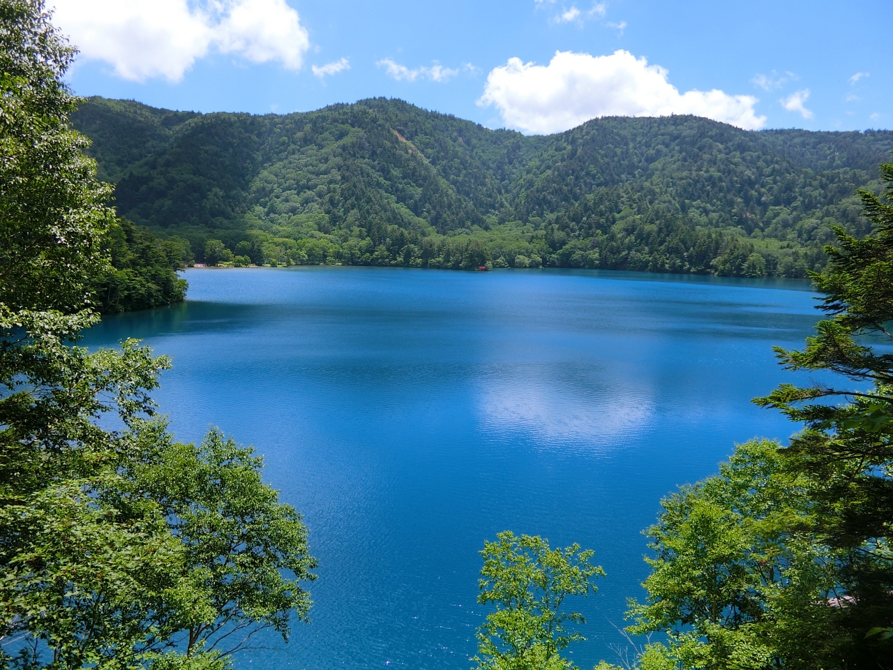 夏の志賀高原一人旅 2日目 池巡りハイキングコース 湯田中渋温泉郷 志賀高原 長野県 の旅行記 ブログ By まうさん フォートラベル
