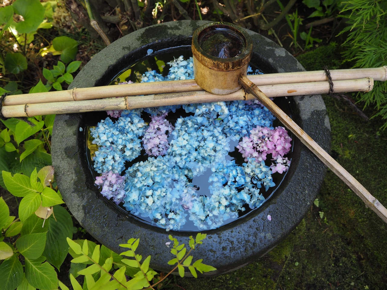 秋田のあじさい寺 男鹿 秋田県 の旅行記 ブログ By ピオニーさん フォートラベル