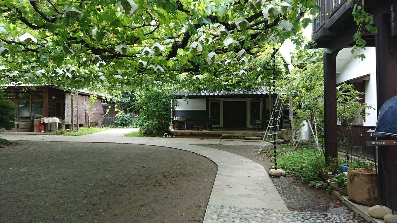 日帰りランチat勝沼 勝沼 塩山 山梨県 の旅行記 ブログ By ちびトロ子さん フォートラベル