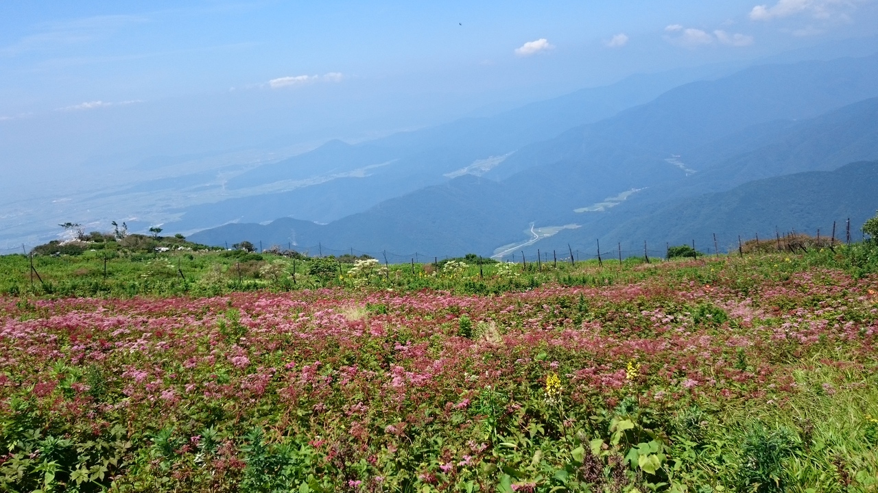 山の日より少し早めの天空のお花畑 伊吹山 米原 滋賀県 の旅行記 ブログ By えみりさん フォートラベル 山の日より少し早めの天空のお花畑 伊吹山 米原 滋賀県 の旅行記 ブログ By えみりさん フォートラベル