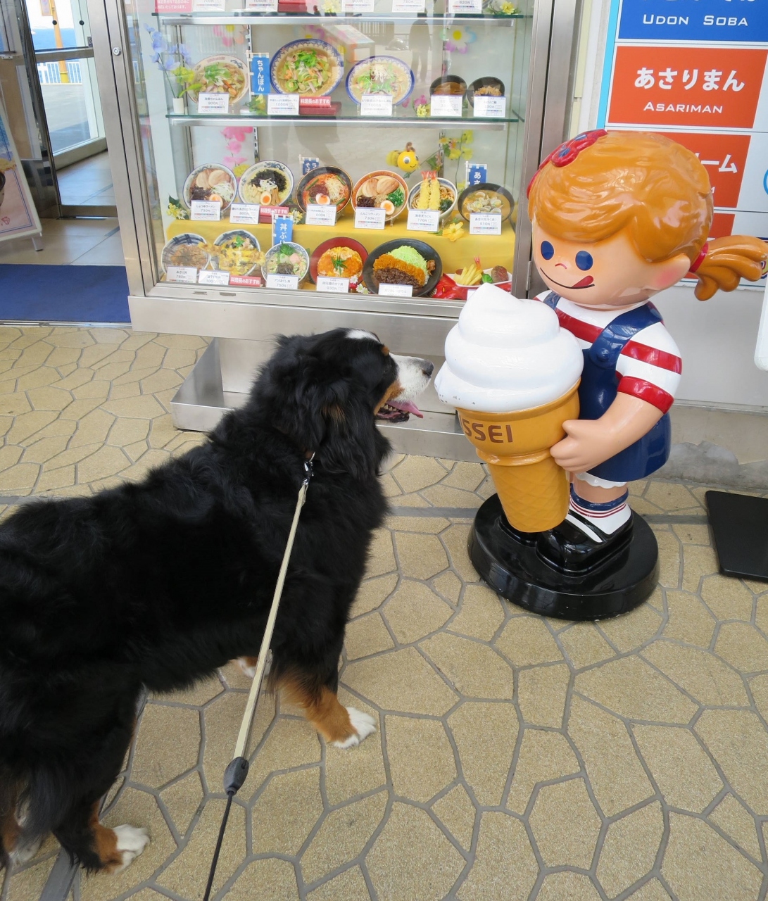 バーニーと行く千葉県 過去をほじくり返して 4トラ白地図 を埋める その1 館山 千葉県 の旅行記 ブログ By ほいみさん フォートラベル